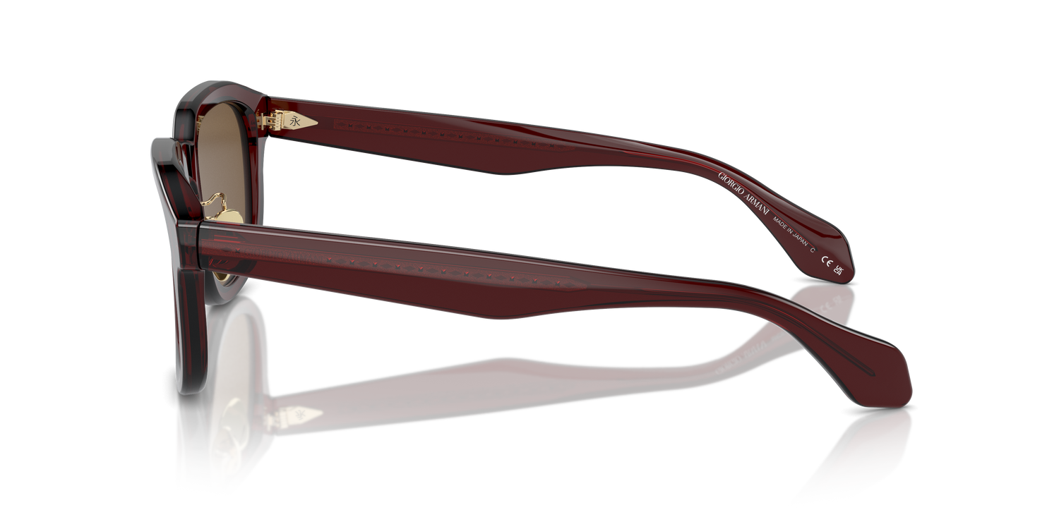 GIORGIO ARMANI AR8206 606273 51