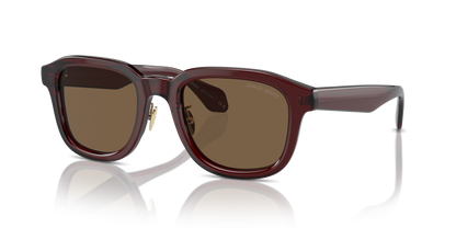 GIORGIO ARMANI AR8206 606273 51