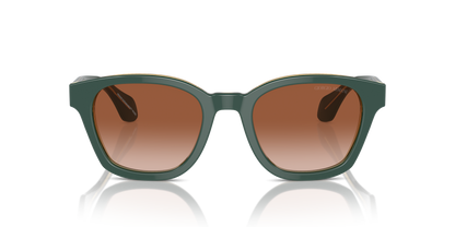 GIORGIO ARMANI AR8207 608613 50