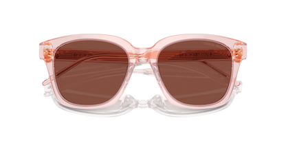 GIORGIO ARMANI AR8210U 6073C5 52