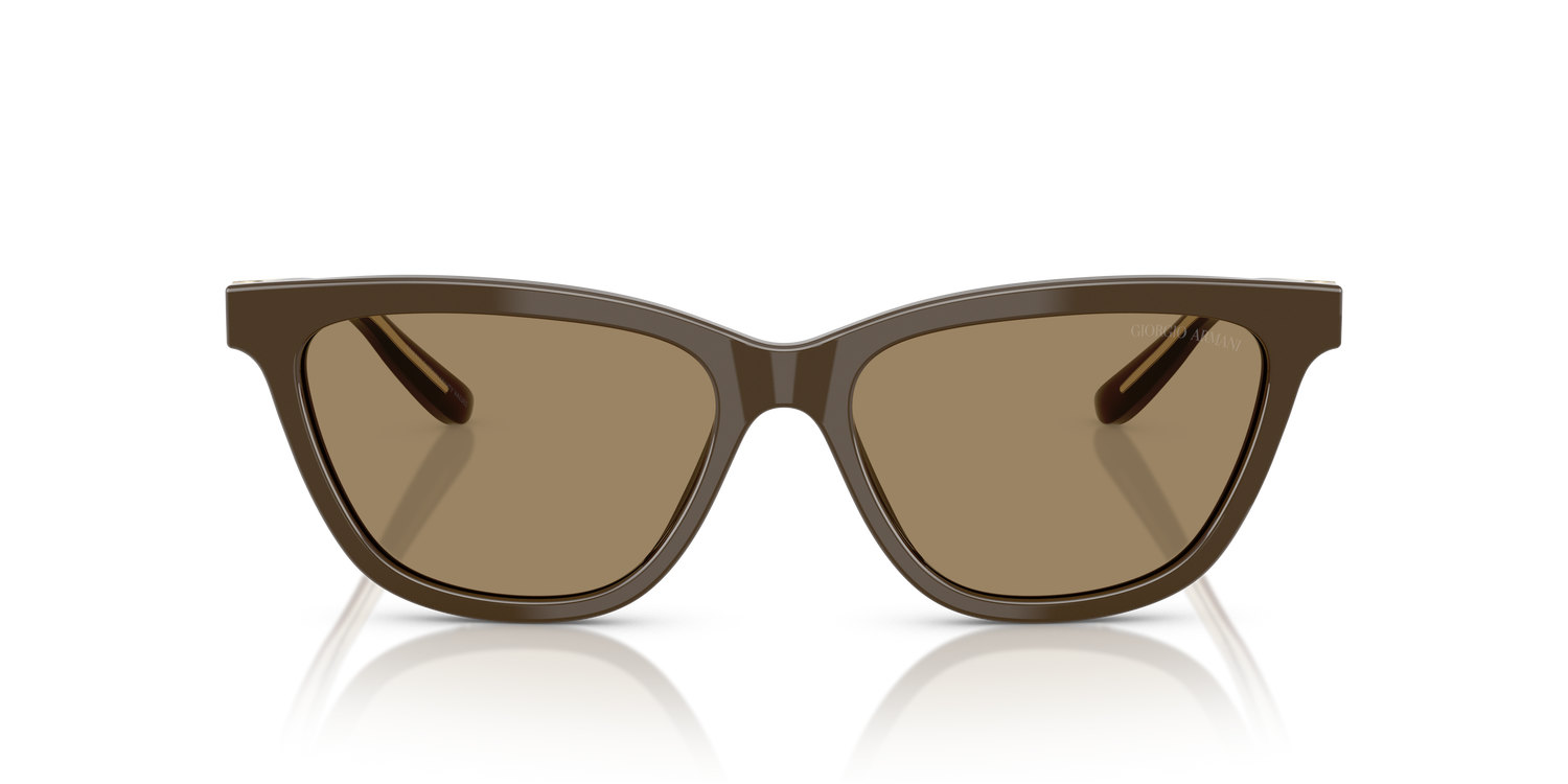 GIORGIO ARMANI AR8221 595753 55