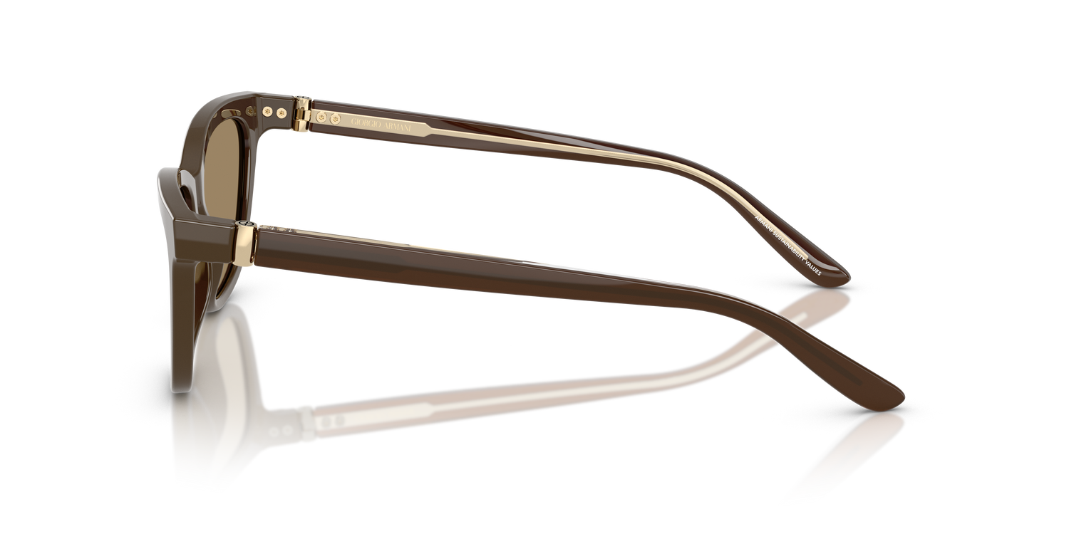 GIORGIO ARMANI AR8221 595753 55