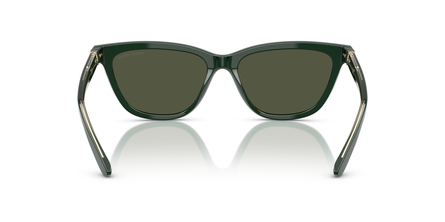 GIORGIO ARMANI AR8221 617331 55