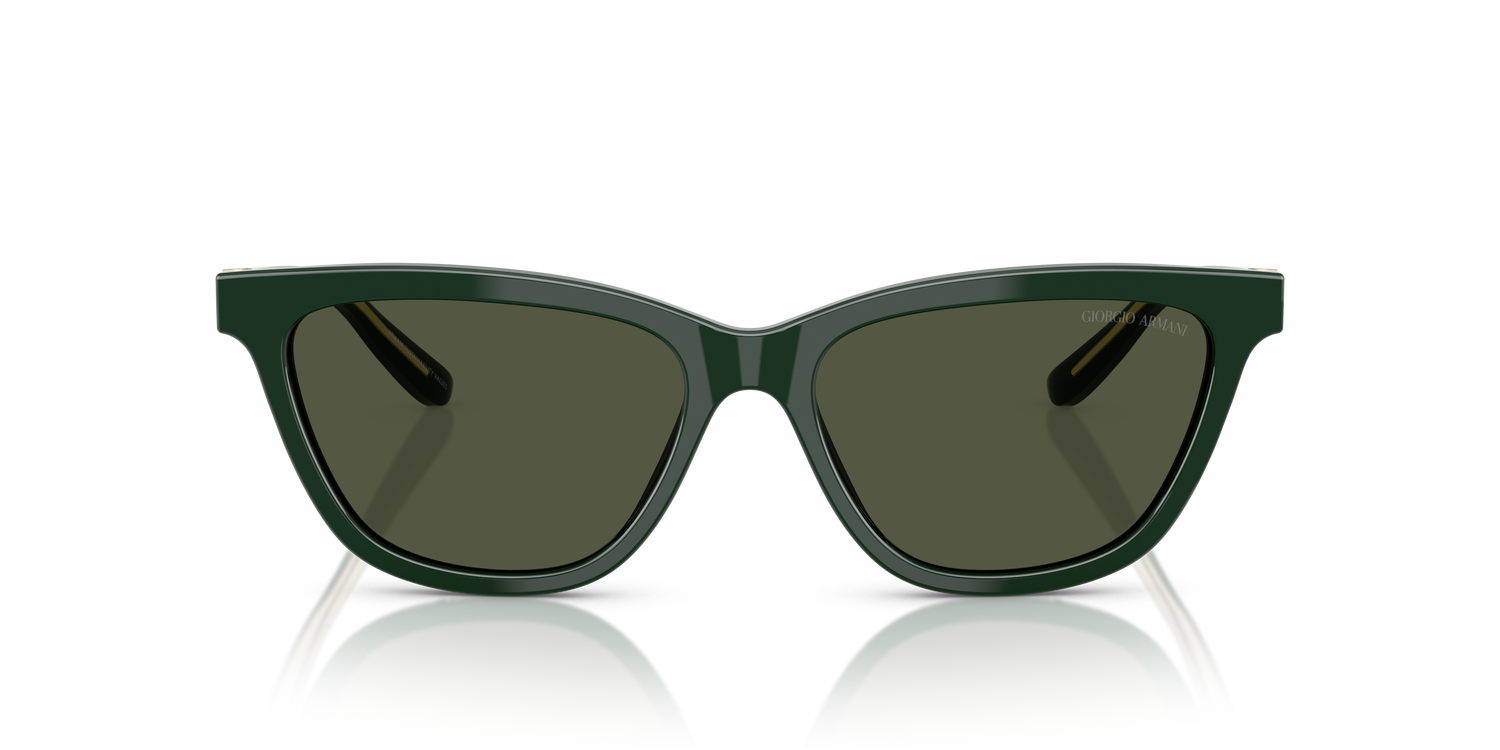 GIORGIO ARMANI AR8221 617331 55