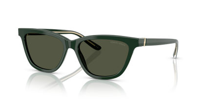 GIORGIO ARMANI AR8221 617331 55