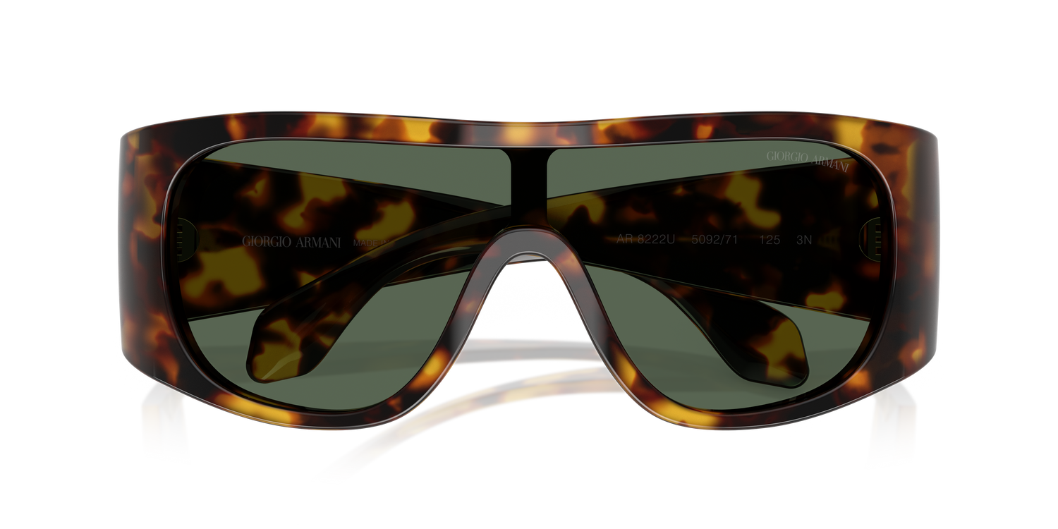 GIORGIO ARMANI AR8222U 509271 24