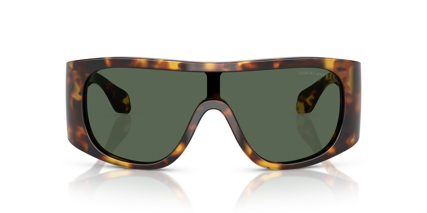 GIORGIO ARMANI AR8222U 509271 24