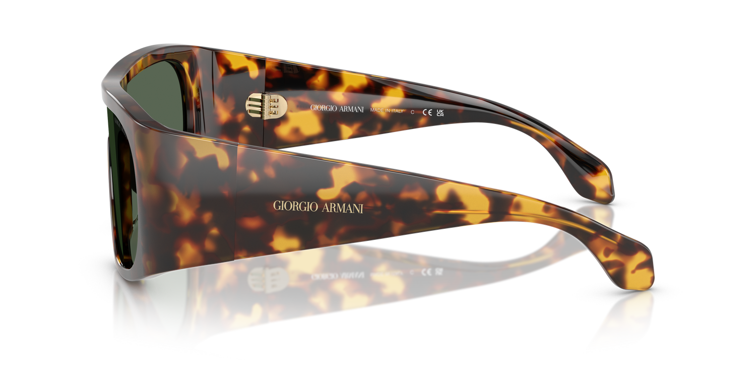 GIORGIO ARMANI AR8222U 509271 24