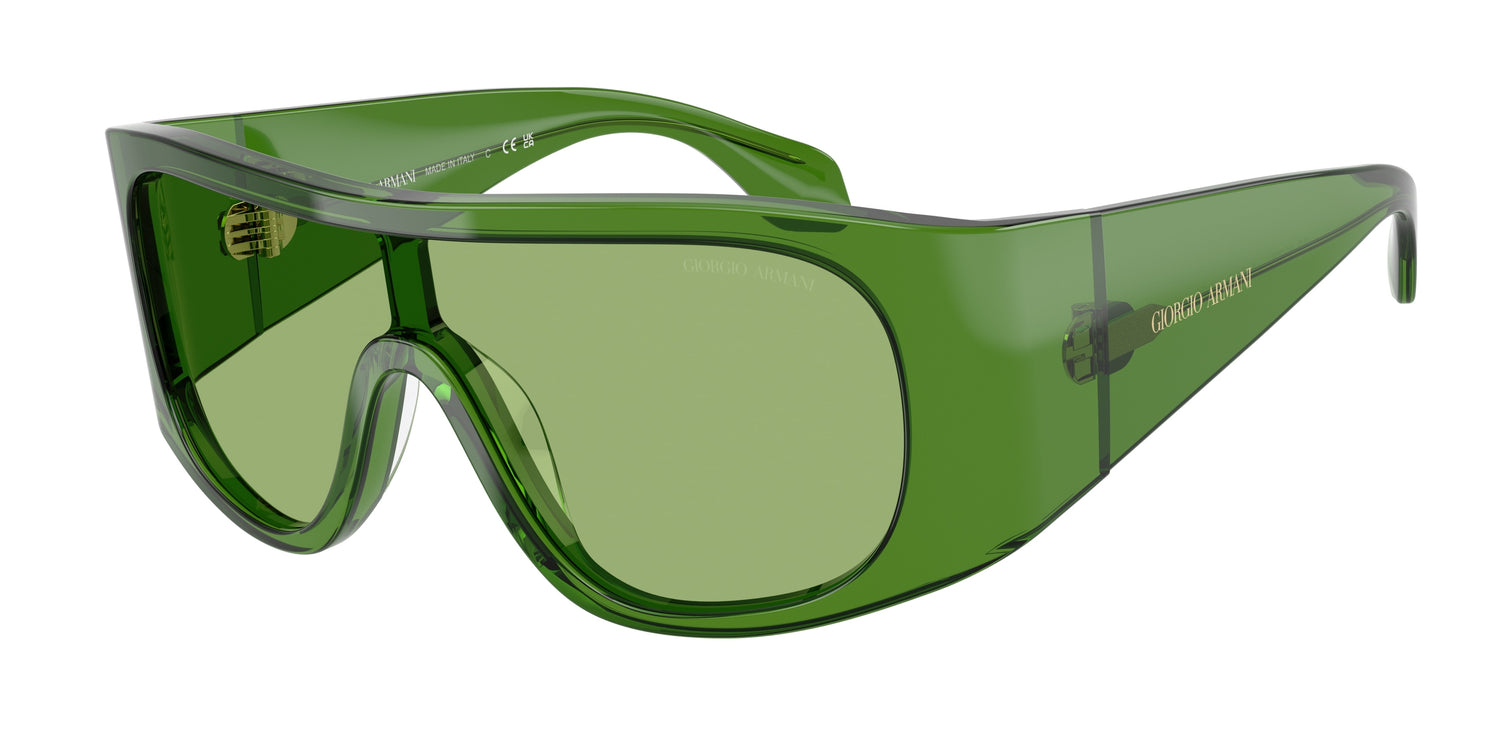 GIORGIO ARMANI AR8222U 6191/2 24