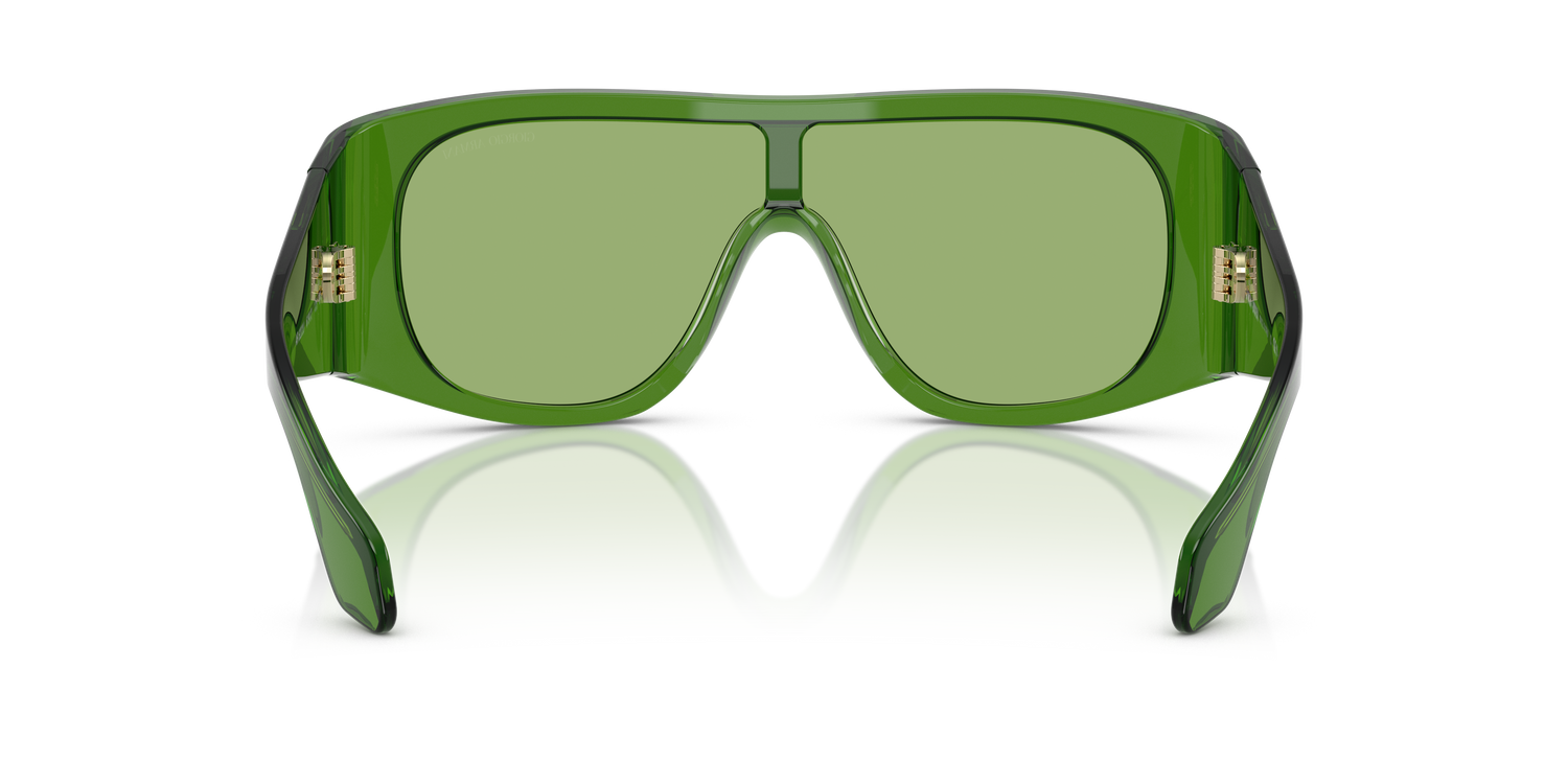 GIORGIO ARMANI AR8222U 6191/2 24