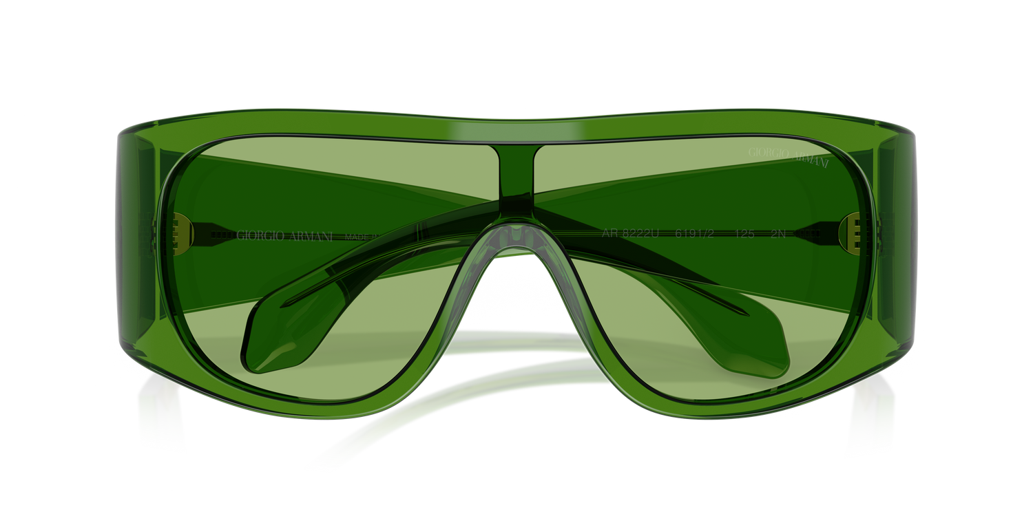 GIORGIO ARMANI AR8222U 6191/2 24