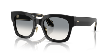 GIORGIO ARMANI AR8223 500111 51