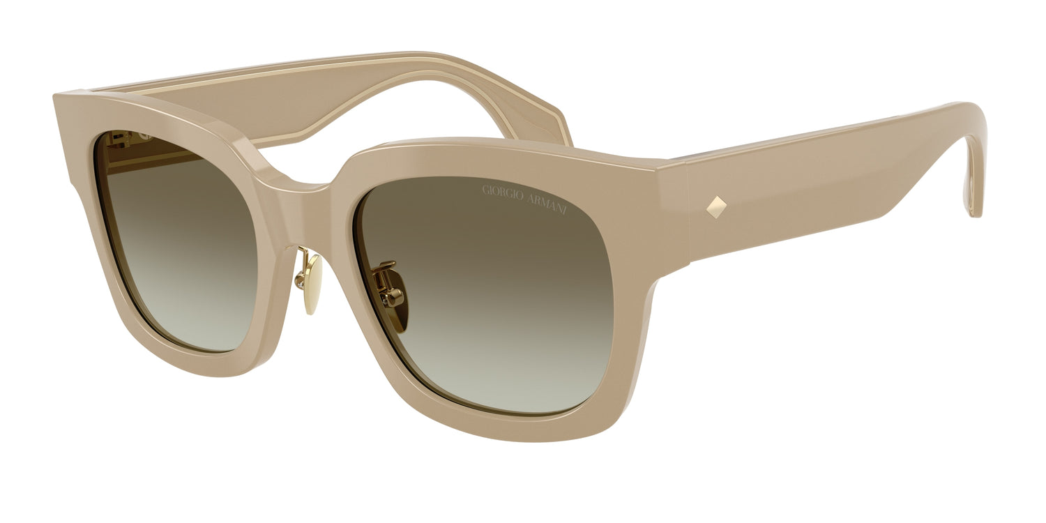 GIORGIO ARMANI AR8223 61618E 51