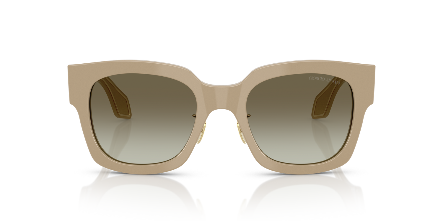 GIORGIO ARMANI AR8223 61618E 51