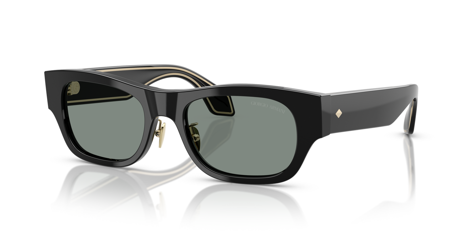 GIORGIO ARMANI AR8224 500111 52