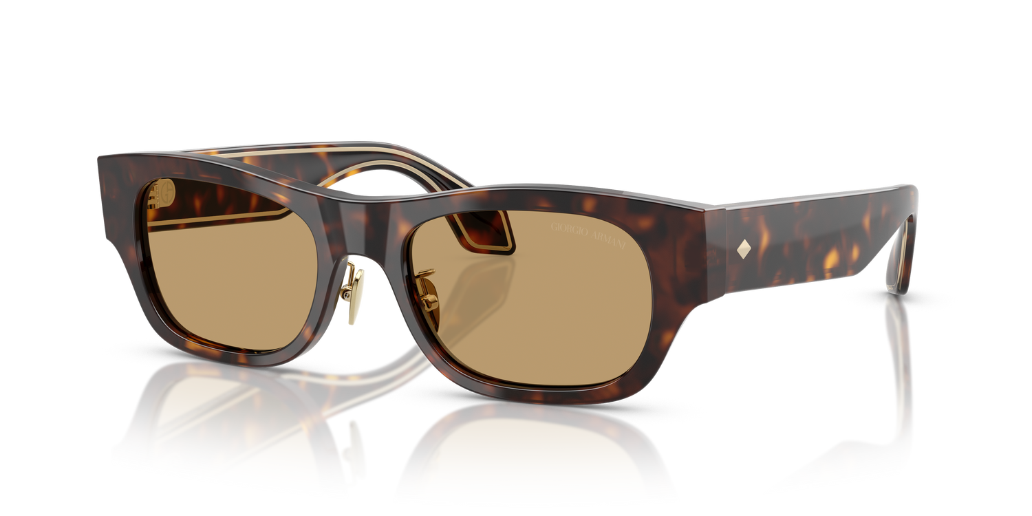 GIORGIO ARMANI AR8224 502673 52