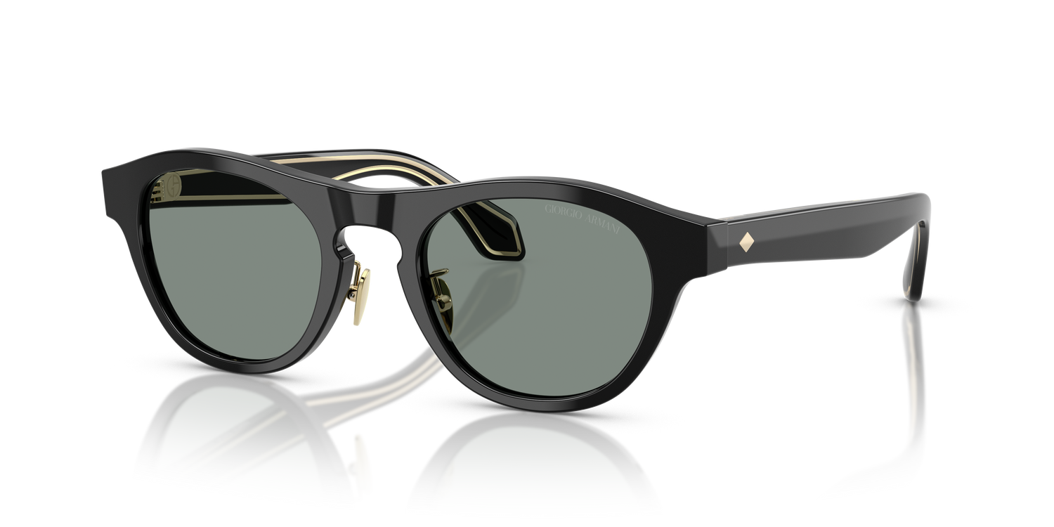 GIORGIO ARMANI AR8225 500111 49