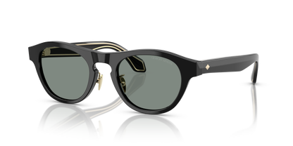 GIORGIO ARMANI AR8225 500111 49