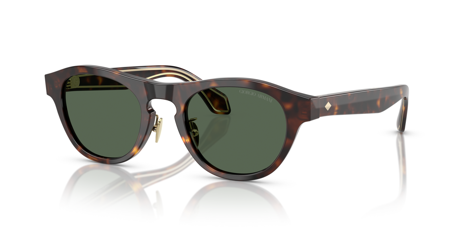 GIORGIO ARMANI AR8225 502671 49