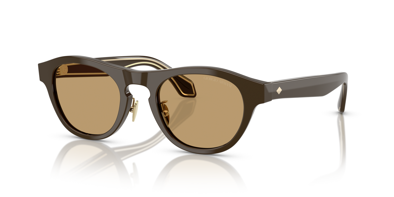 GIORGIO ARMANI AR8225 619473 49