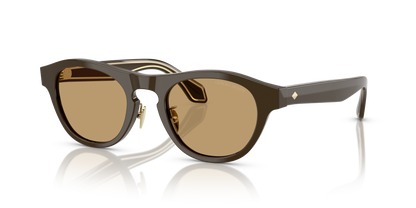 GIORGIO ARMANI AR8225 619473 49