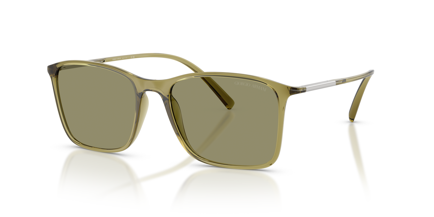 GIORGIO ARMANI AR8231U 62402A 54