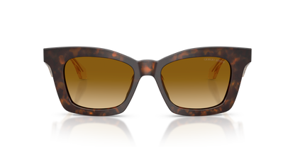 GIORGIO ARMANI AR8235U 62312L 50