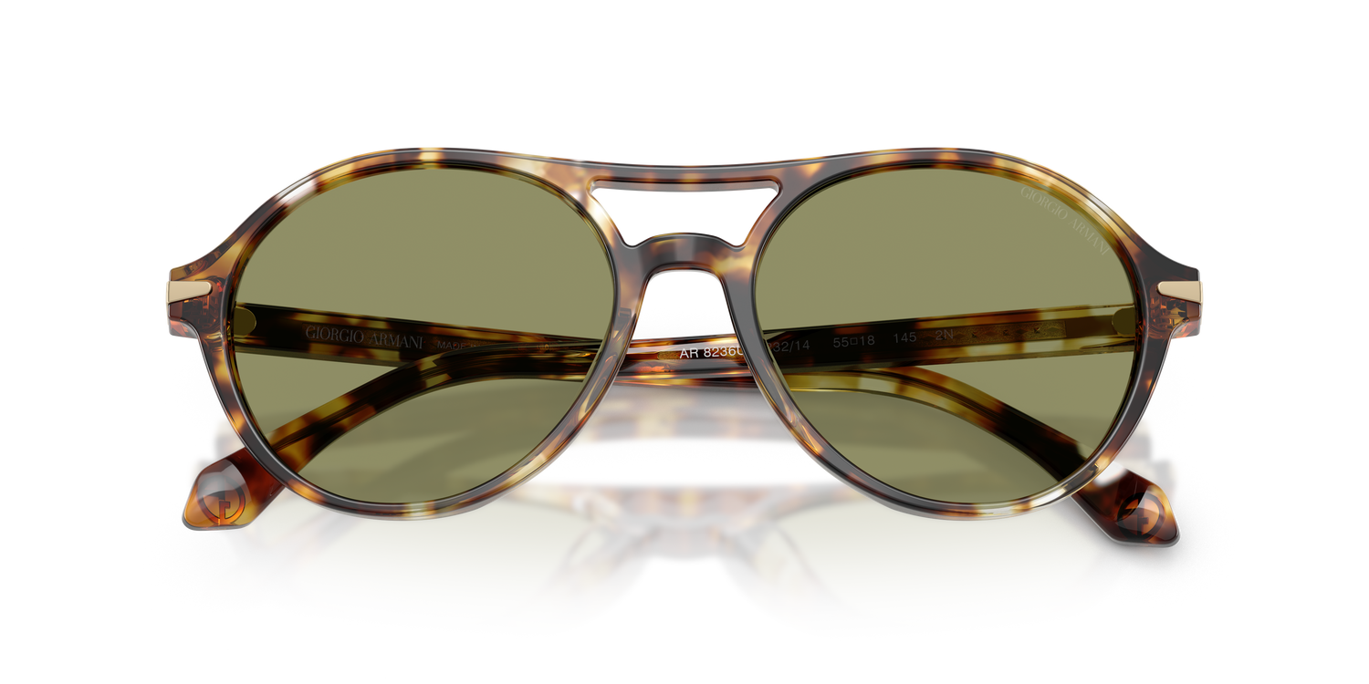 GIORGIO ARMANI AR8236U 623214 55