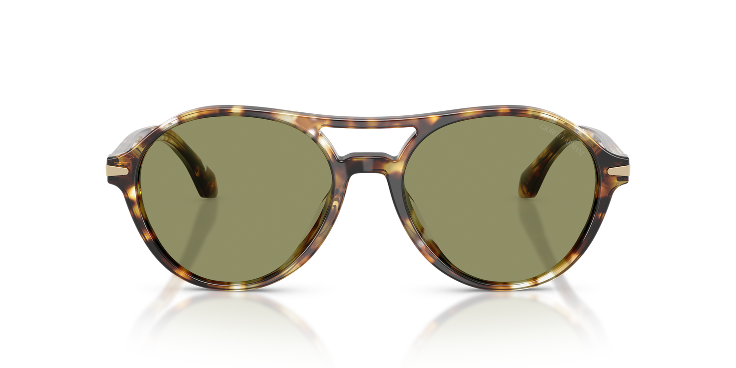 GIORGIO ARMANI AR8236U 623214 55