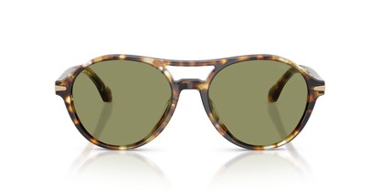 GIORGIO ARMANI AR8236U 623214 55