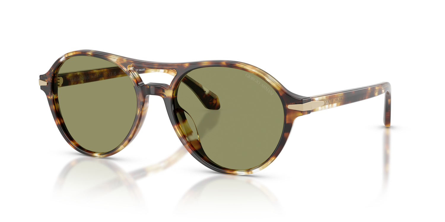 GIORGIO ARMANI AR8236U 623214 55