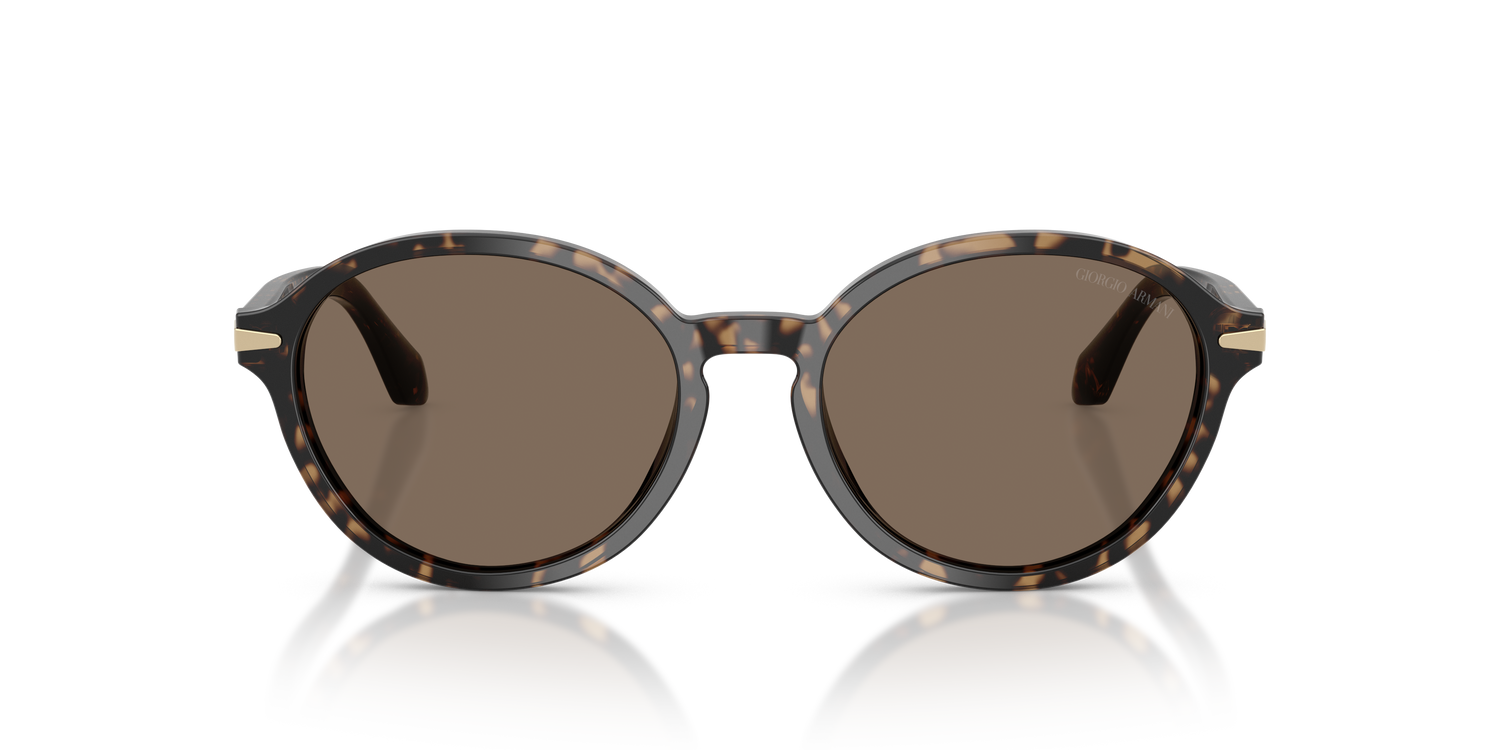 GIORGIO ARMANI AR8237 623573 53