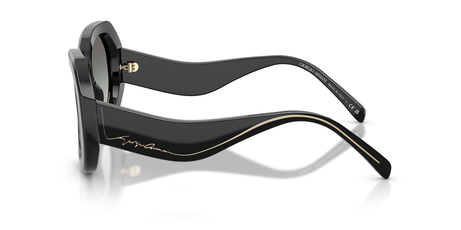 GIORGIO ARMANI AR8248 500111 51