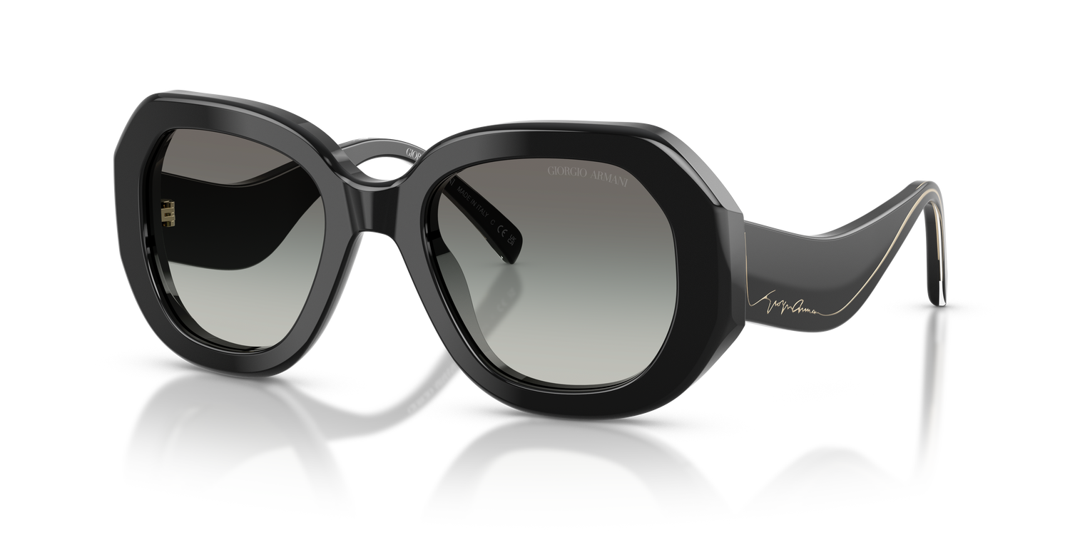 GIORGIO ARMANI AR8248 500111 51