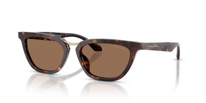 GIORGIO ARMANI AR8253U 612473 54