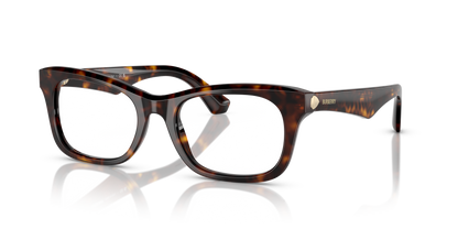 Burberry BE2422 3002 52