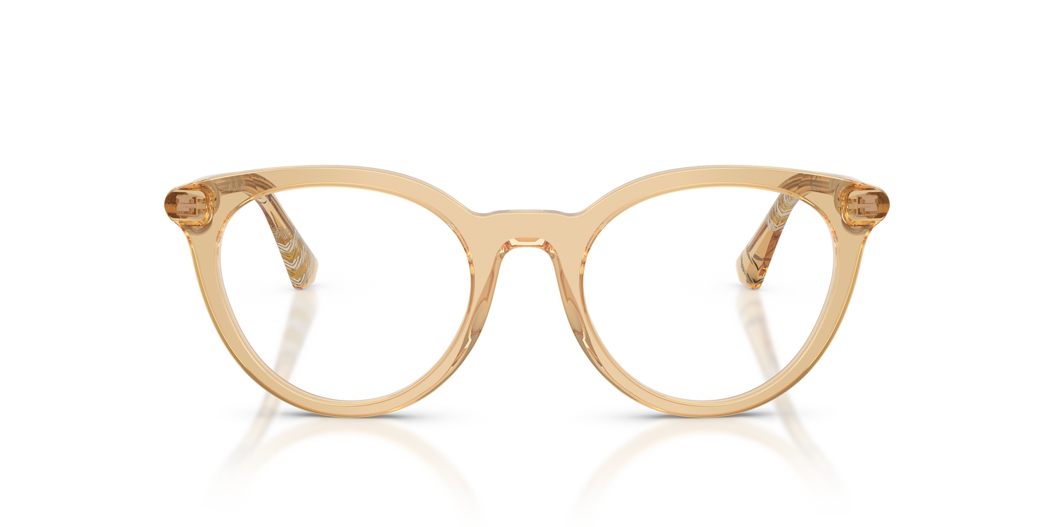 Burberry BE2429 4167 48