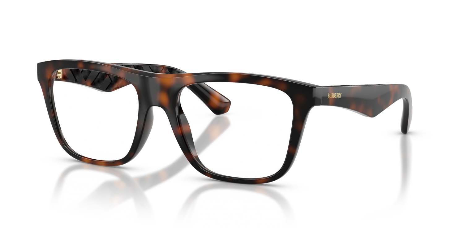 Burberry BE2432U 3002 53