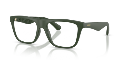 Burberry BE2432U 4170 55