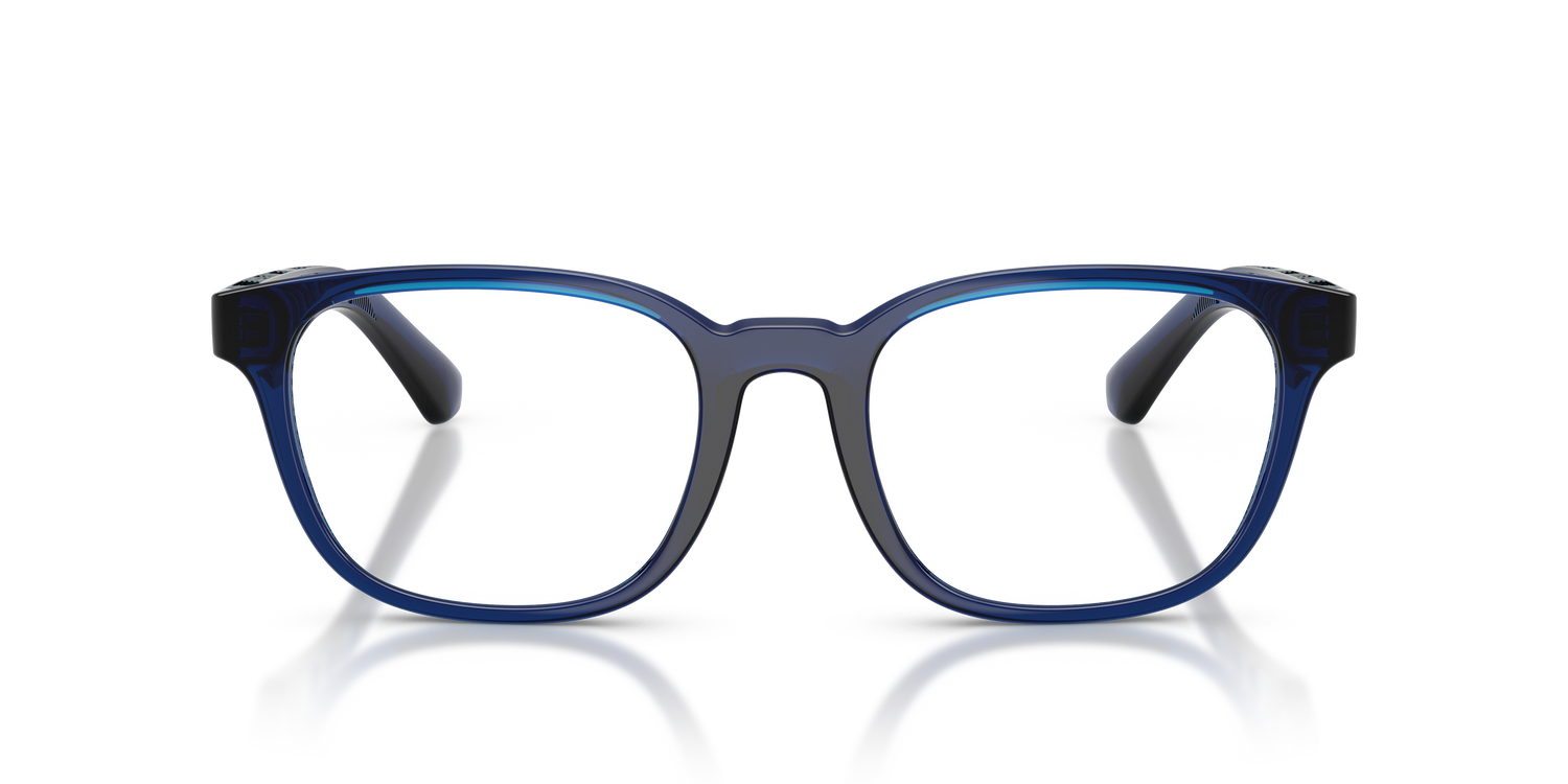 Burberry BE2433U 4110 54