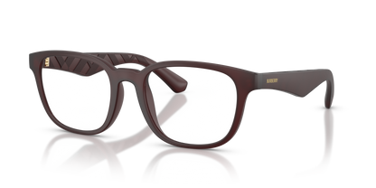 Burberry BE2433U 4171 52