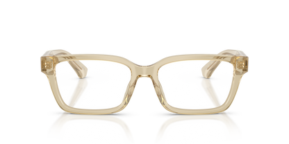 Burberry BE2453 4226 55