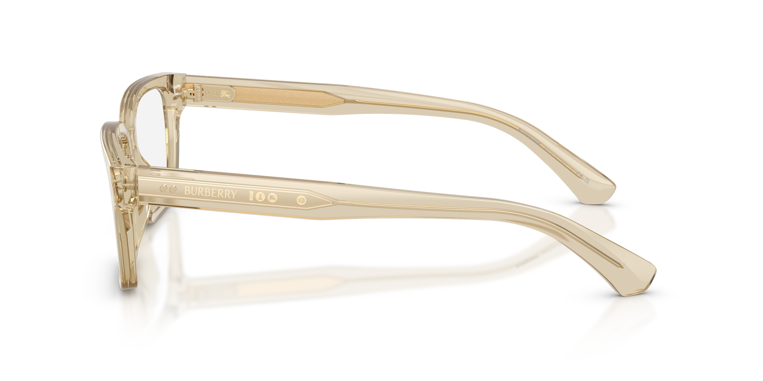 Burberry BE2453 4226 55