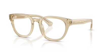 Burberry BE2454 4226 51