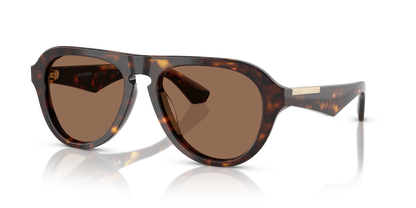 Burberry BE4437U 300273 55