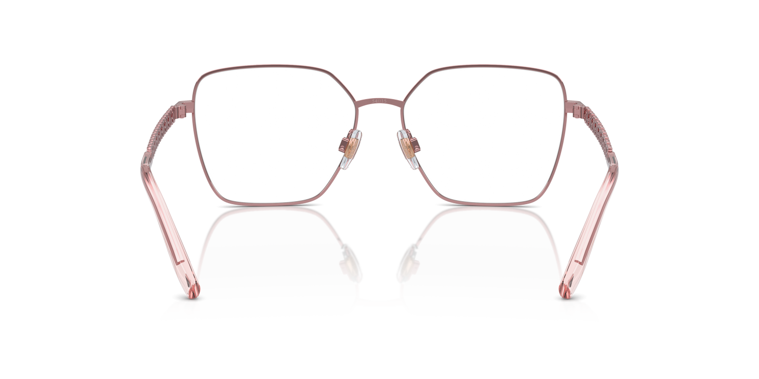 DOLCE &amp; GABBANA DG1351 1361 54