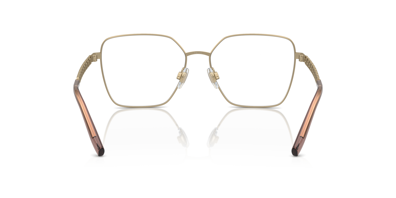 DOLCE &amp; GABBANA DG1351 1365 54