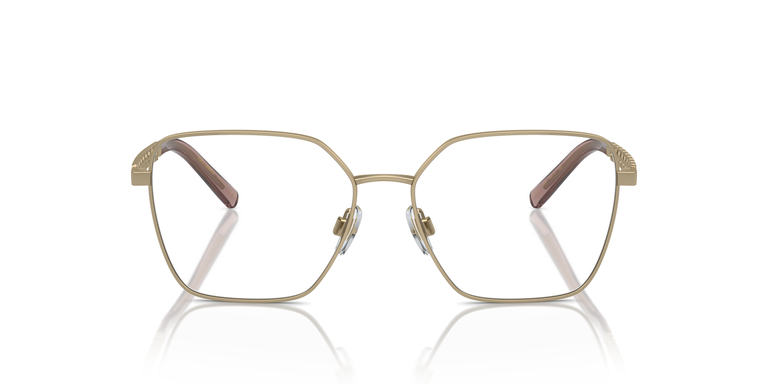 DOLCE &amp; GABBANA DG1351 1365 54