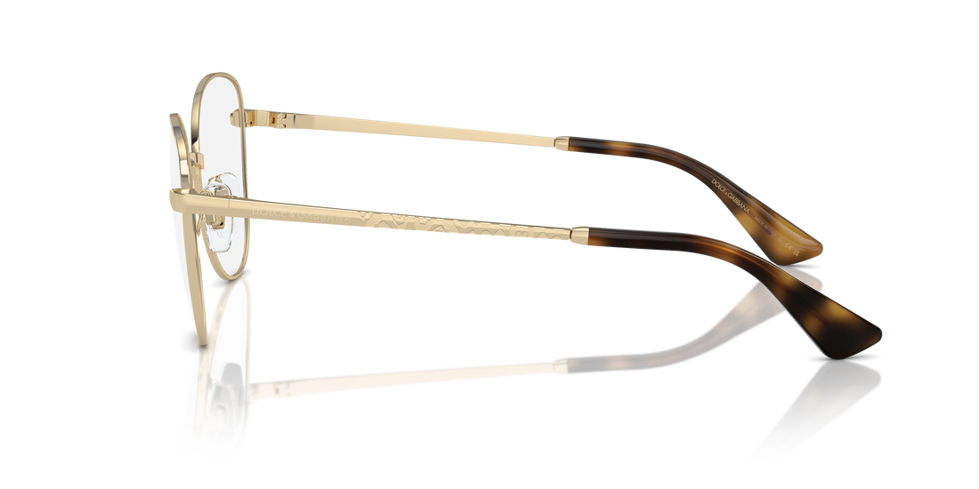 DOLCE & GABBANA DG1355 1365 55