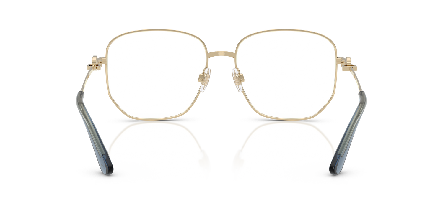 DOLCE &amp; GABBANA DG1356 488 55